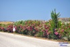 image04800_7488